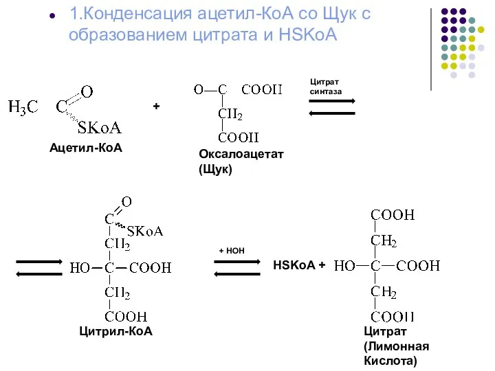 1.Конденсация ацетил-КоА со Щук с образованием цитрата и HSKoA + Цитрат синтаза