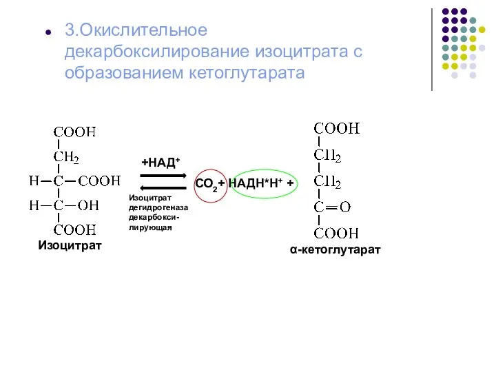 3.Окислительное декарбоксилирование изоцитрата с образованием кетоглутарата Изоцитрат +НАД+ СО2+ НАДН*Н+ + Изоцитрат дегидрогеназа декарбокси- лирующая α-кетоглутарат