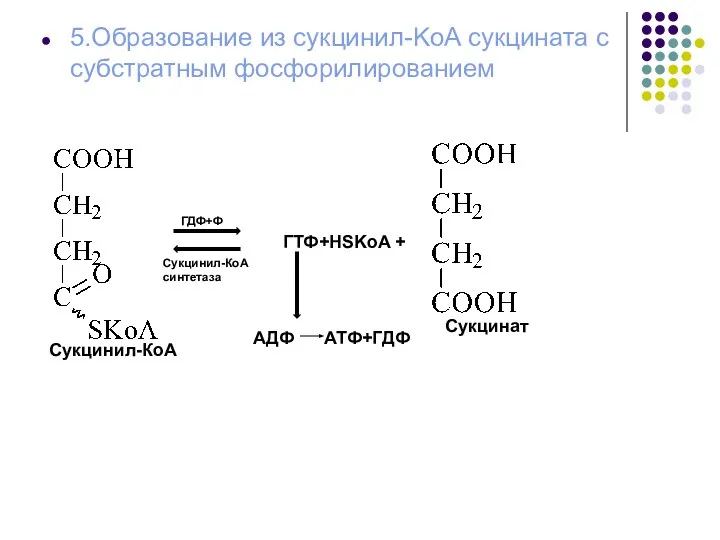 5.Образование из сукцинил-KoA сукцината с субстратным фосфорилированием ГДФ+Ф Сукцинил-КоА синтетаза Сукцинил-КоА ГТФ+HSKoA + АДФ АТФ+ГДФ Сукцинат