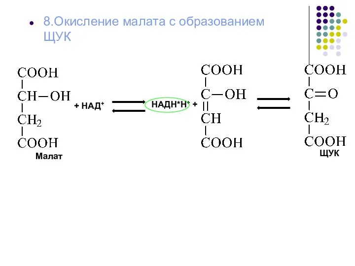 8.Окисление малата с образованием ЩУК + НАД+ НАДН*Н+ + Малат ЩУК