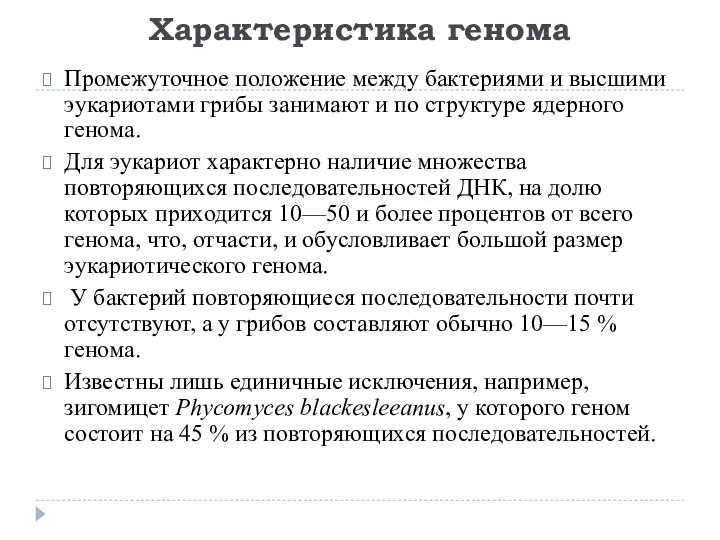 Характеристика генома Промежуточное положение между бактериями и высшими эукариотами грибы занимают и