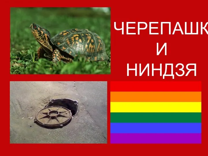 ЧЕРЕПАШКИ НИНДЗЯ