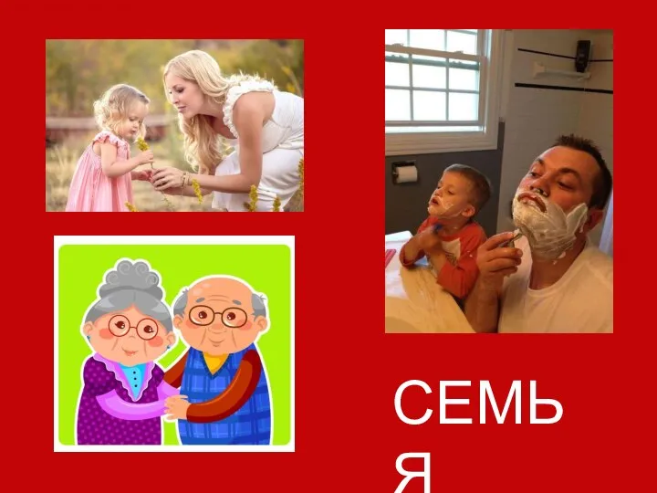 СЕМЬЯ