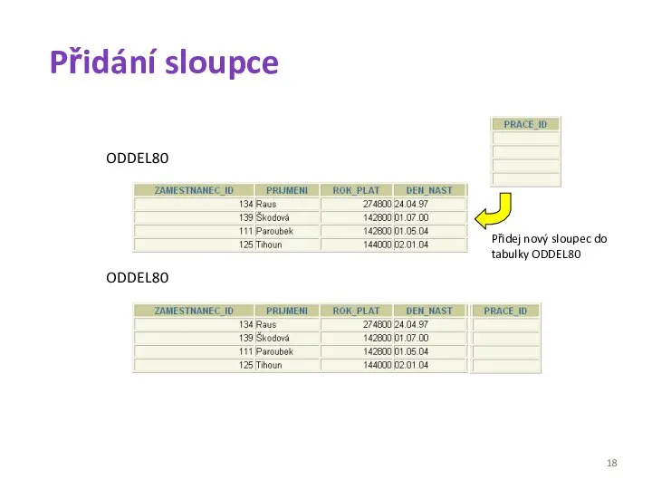 Přidání sloupce ODDEL80 ODDEL80 Přidej nový sloupec do tabulky ODDEL80