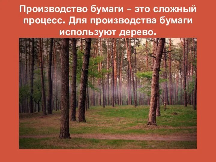 Производство бумаги – это сложный процесс. Для производства бумаги используют дерево.