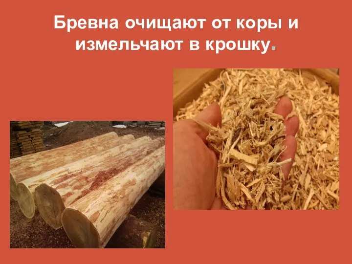 Бревна очищают от коры и измельчают в крошку.