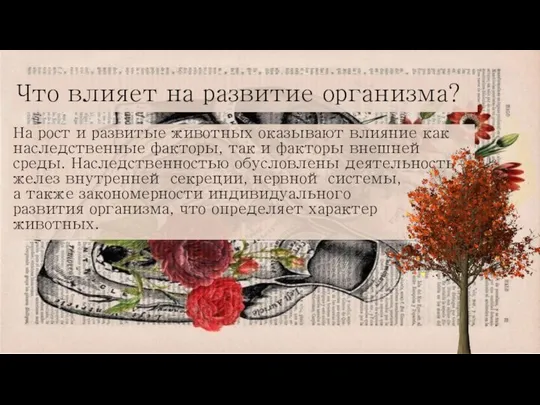 Что влияет на развитие организма? На рост и развитые животных оказывают влияние