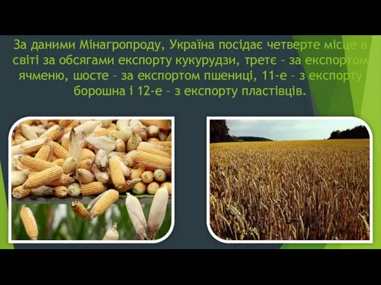 За даними Мінагропроду, Україна посідає четверте місце в світі за обсягами експорту