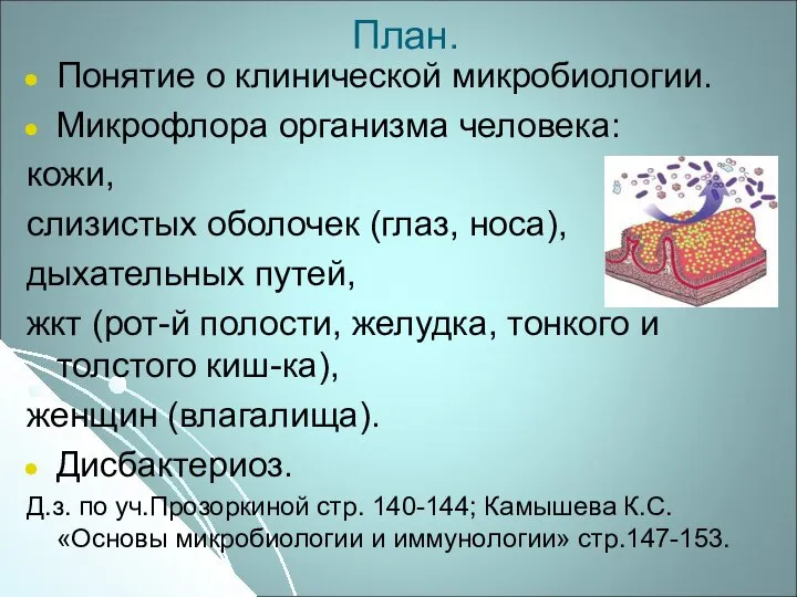 План. Понятие о клинической микробиологии. Микрофлора организма человека: кожи, слизистых оболочек (глаз,