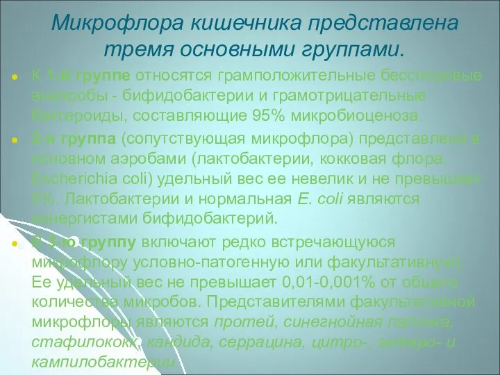 Микрофлора кишечника представлена тремя основными группами. К 1-й группе относятся грамположительные бесспоровые