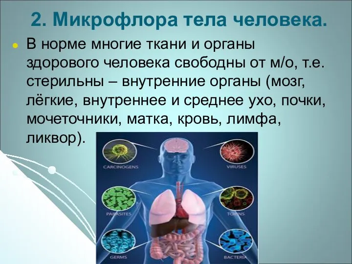 2. Микрофлора тела человека. В норме многие ткани и органы здорового человека