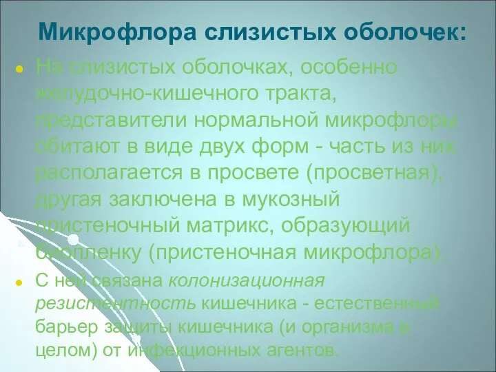 Микрофлора слизистых оболочек: На слизистых оболочках, особенно желудочно-кишечного тракта, представители нормальной микрофлоры