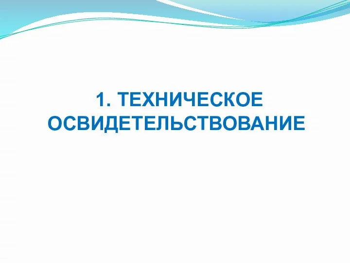 1. ТЕХНИЧЕСКОЕ ОСВИДЕТЕЛЬСТВОВАНИЕ