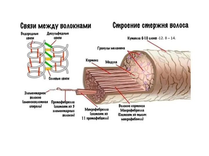 -12. 8 – 14.