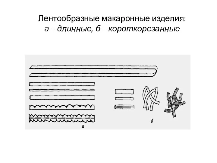 Лентообразные макаронные изделия: а – длинные, б – короткорезанные