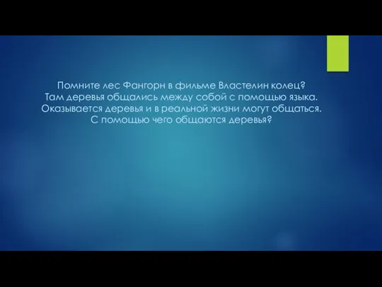 Помните лес Фангорн в фильме Властелин колец? Там деревья общались между собой