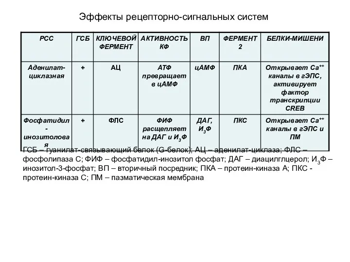 Эффекты рецепторно-сигнальных систем ГСБ – гуанилат-связывающий белок (G-белок); АЦ – аденилат-циклаза; ФЛС