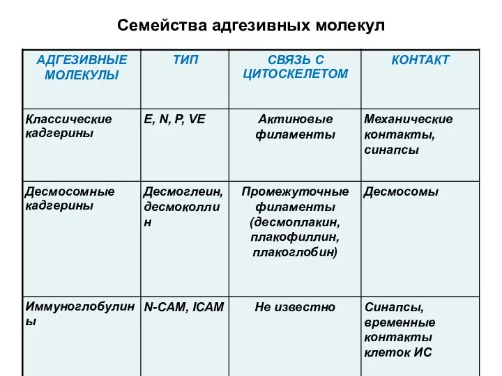 Семейства адгезивных молекул