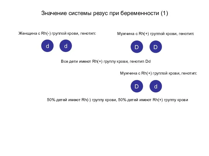 Значение системы резус при беременности (1) Женщина с Rh(-) группой крови, генотип: