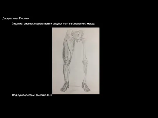Дисциплина: Рисунок Задание: рисунок скелета ноги и рисунок ноги с выявлением мышц Под руководством: Лысенко О.В