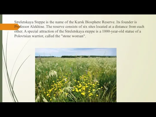 Streletskaya Steppe is the name of the Kursk Biosphere Reserve. Its founder
