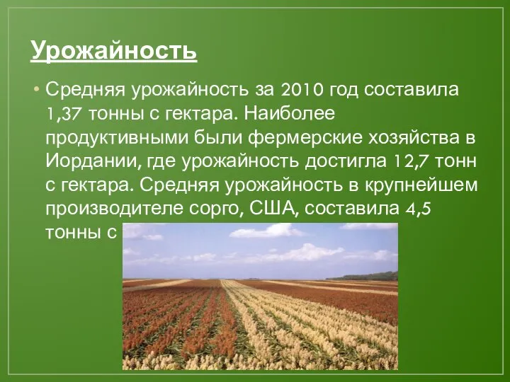Урожайность Средняя урожайность за 2010 год составила 1,37 тонны с гектара. Наиболее