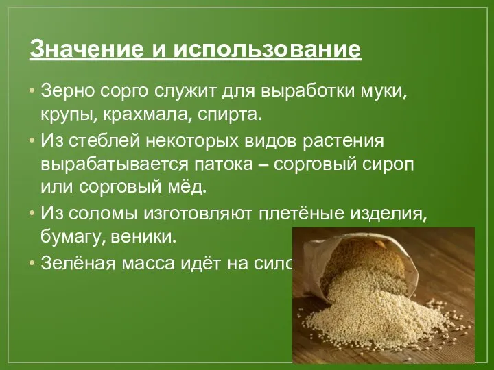 Значение и использование Зерно сорго служит для выработки муки, крупы, крахмала, спирта.