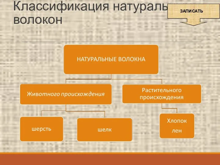 Классификация натуральных волокон ЗАПИСАТЬ