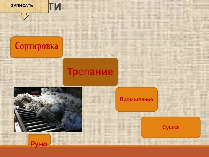 ПЕРВИЧНАЯ ОБРАБОТКА ШЕРСТИ Промывание Сушка Руно