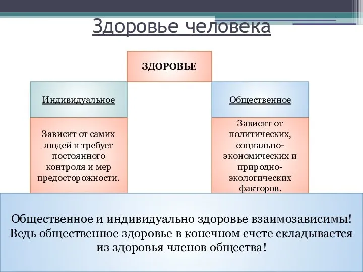 Здоровье человека ЗДОРОВЬЕ Индивидуальное Общественное Зависит от самих людей и требует постоянного