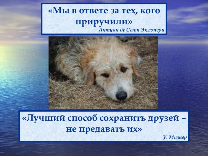 «Лучший способ сохранить друзей –не предавать их» У. Мизнер «Мы в ответе