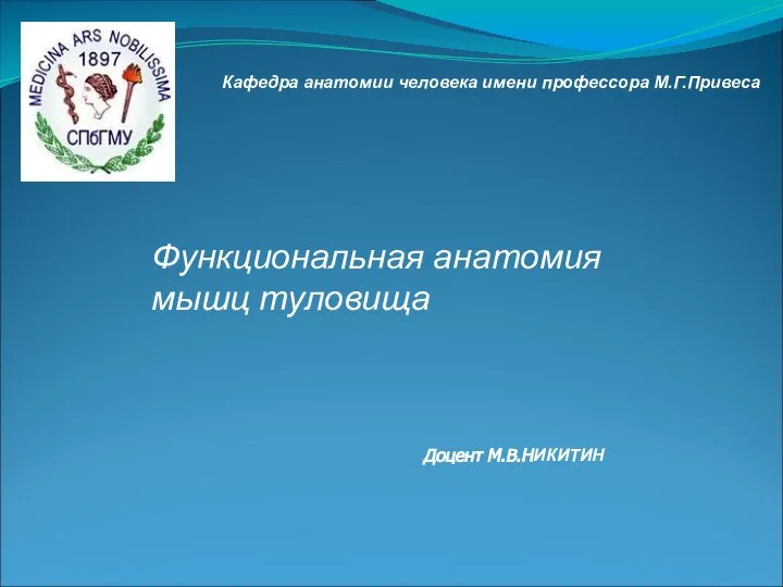 Кафедра анатомии человека имени профессора М.Г.Привеса Доцент М.В.НИКИТИН Функциональная анатомия мышц туловища