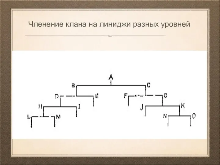 Членение клана на линиджи разных уровней