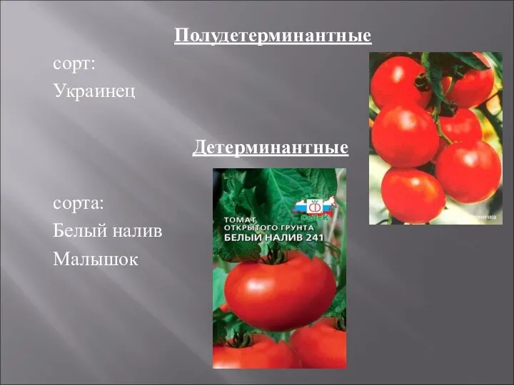 Полудетерминантные сорт: Украинец Детерминантные сорта: Белый налив Малышок