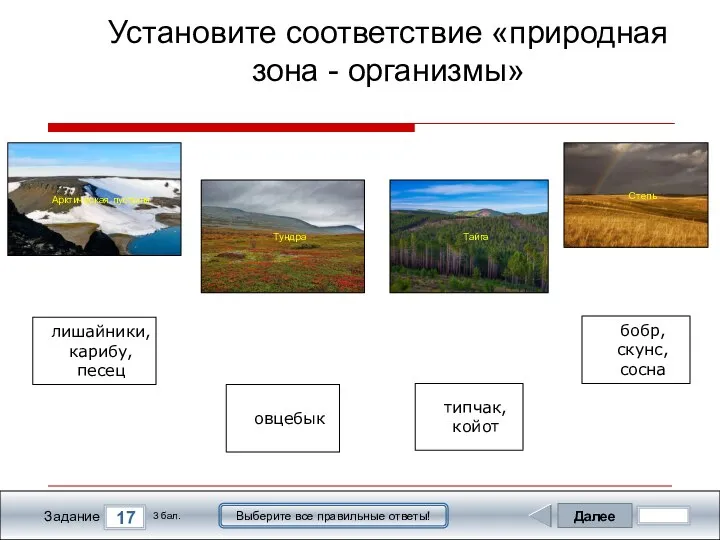 Далее 17 Задание 3 бал. Выберите все правильные ответы! Арктическая пустыня Тундра