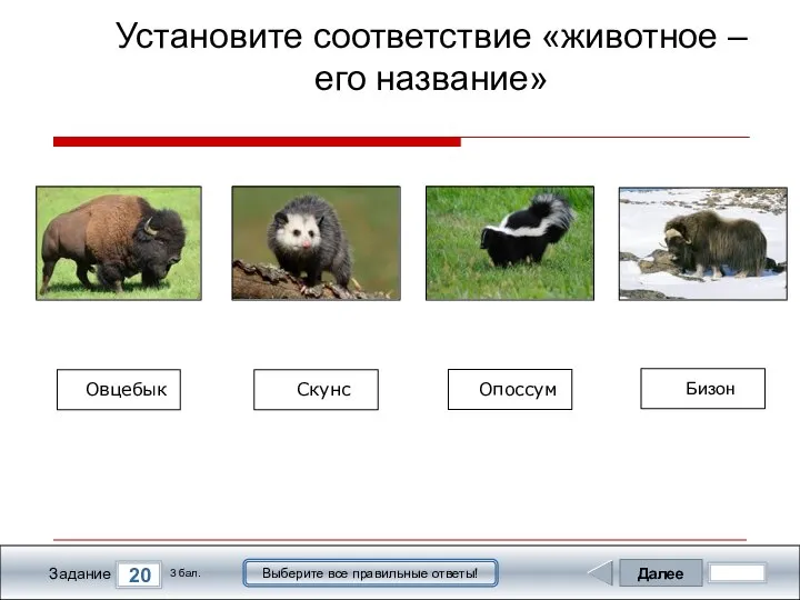 Далее 20 Задание 3 бал. Выберите все правильные ответы! Установите соответствие «животное