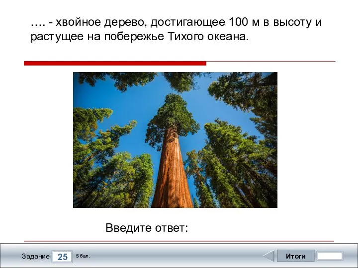 Итоги 25 Задание 5 бал. Введите ответ: …. - хвойное дерево, достигающее