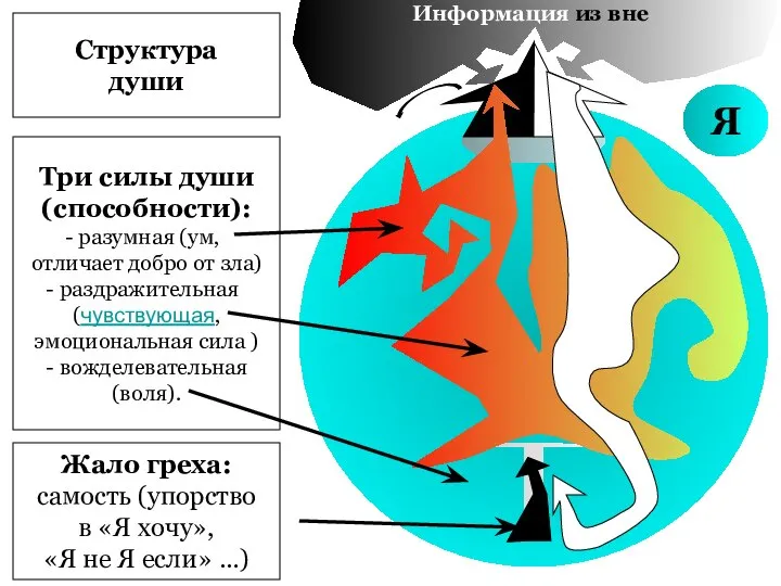 Я Структура души Три силы души (способности): разумная (ум, отличает добро от