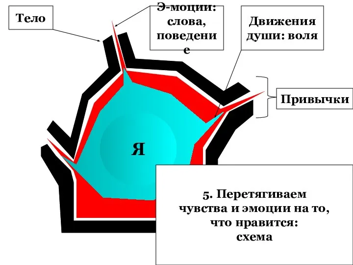 Тело Э-моции: слова, поведение Я Движения души: воля Привычки 5. Перетягиваем чувства