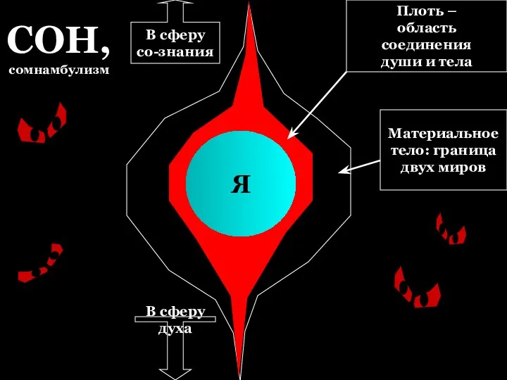 Я В сферу со-знания В сферу духа Материальное тело: граница двух миров