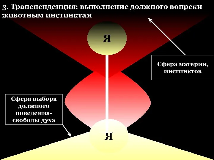 Я Я 3. Трансценденция: выполнение должного вопреки животным инстинктам Сфера материи, инстинктов