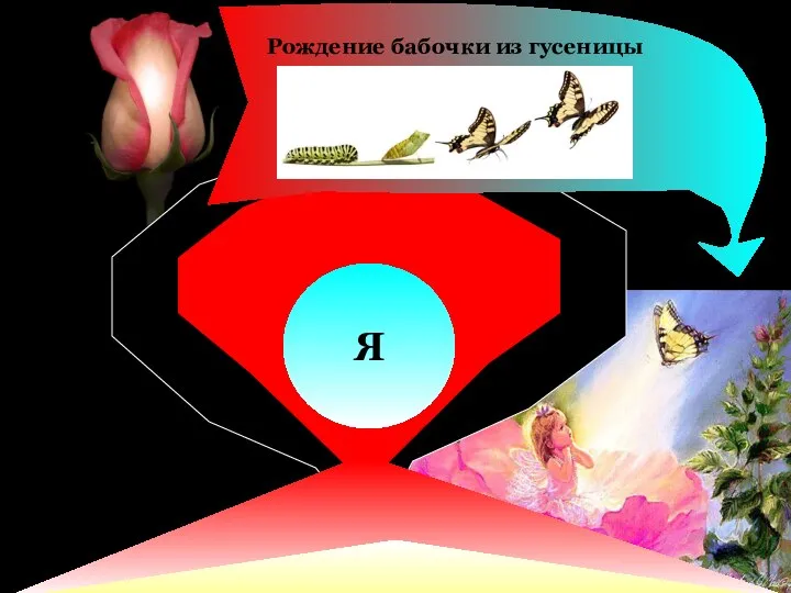 Я Рождение бабочки из гусеницы