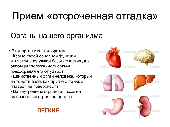 Прием «отсроченная отгадка» Органы нашего организма Этот орган имеет «ворота». • Кроме