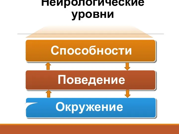 Нейрологические уровни - Подробное описание блока информации, детализация представленной позиции. - Подробное