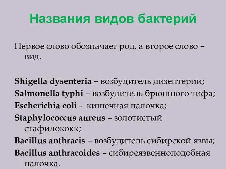 Названия видов бактерий Первое слово обозначает род, а второе слово – вид.