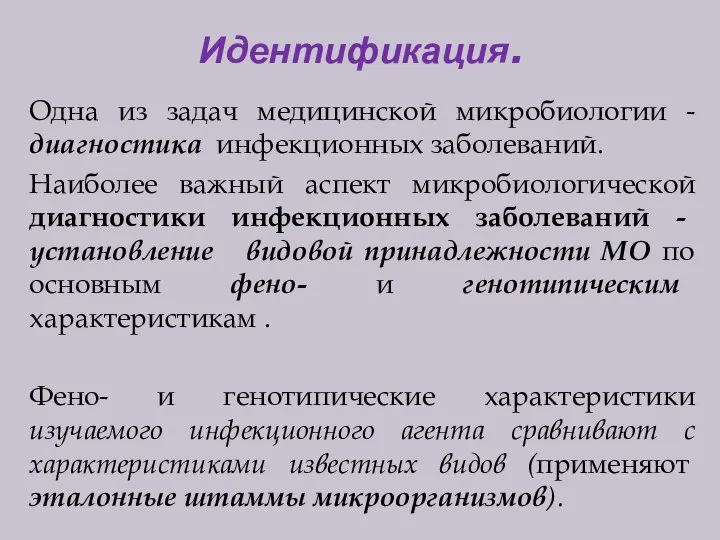 Идентификация. Одна из задач медицинской микробиологии - диагностика инфекционных заболеваний. Наиболее важный