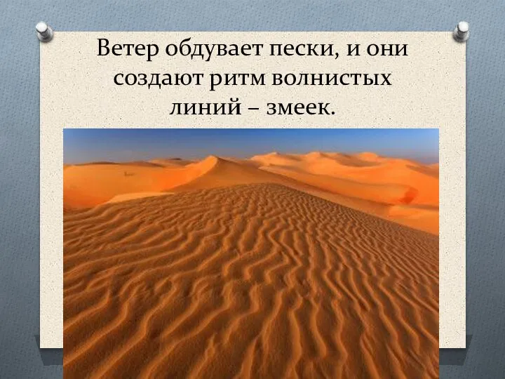 Ветер обдувает пески, и они создают ритм волнистых линий – змеек.