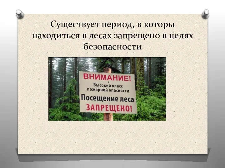 Существует период, в которы находиться в лесах запрещено в целях безопасности