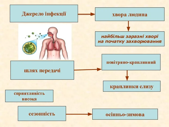 Джерело інфекції хвора людина найбільш заразні хворі на початку захворювання шлях передачі