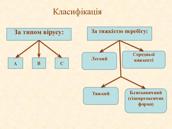 Класифікація За типом вірусу: А В С За тяжкістю перебігу: Легкий Середньої